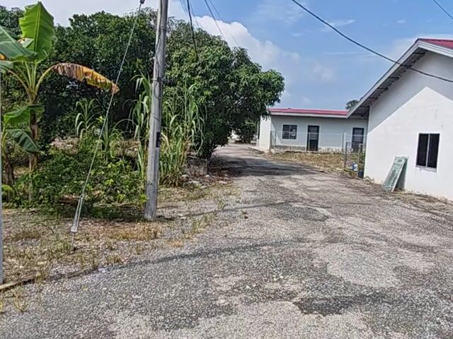 Video Image 1