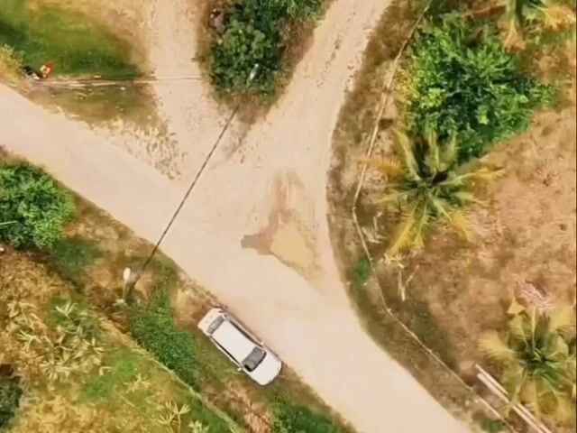 Video Image 1
