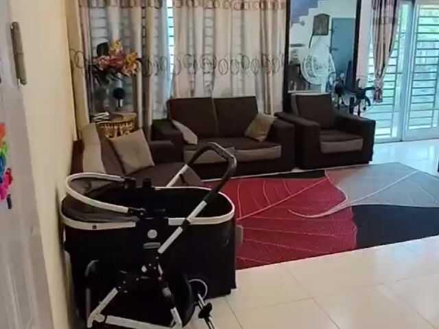 Video Image 1