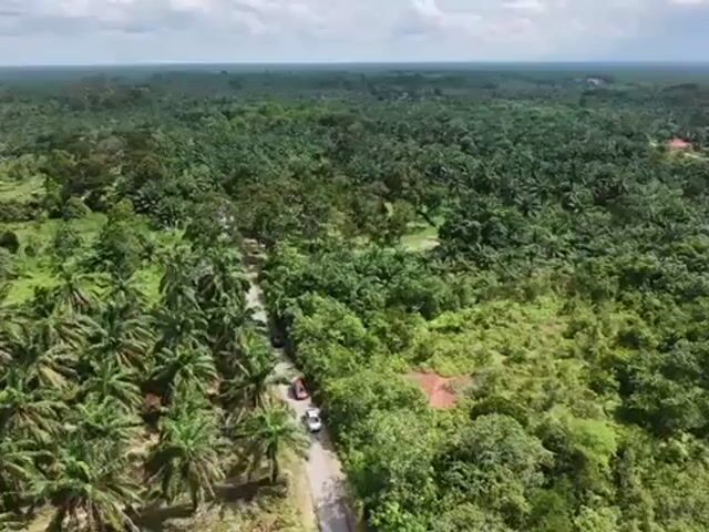 Video Image 1