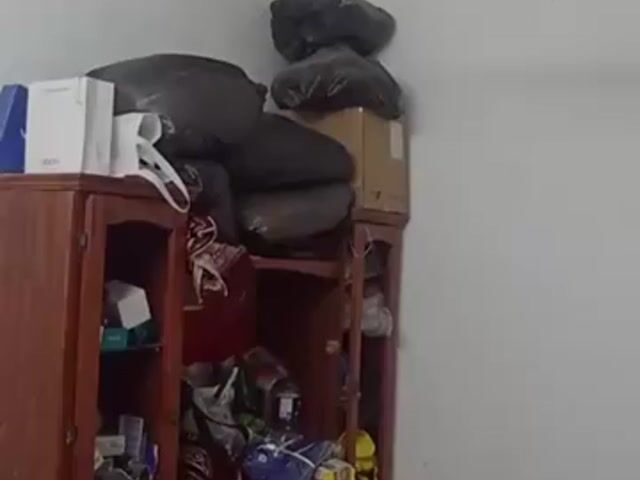 Video Image 1
