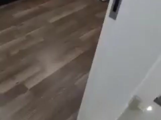 Video Image 1