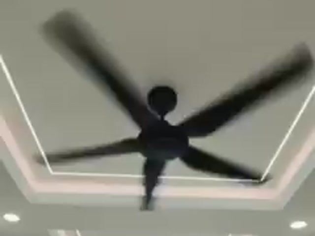Video Image 1