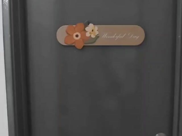 Video Image 1