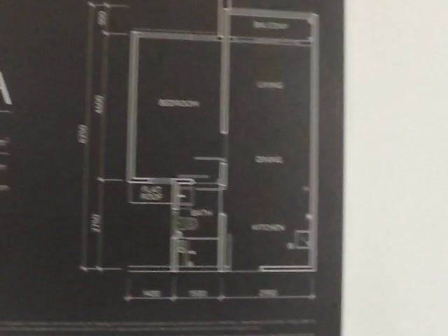 Video Image 1