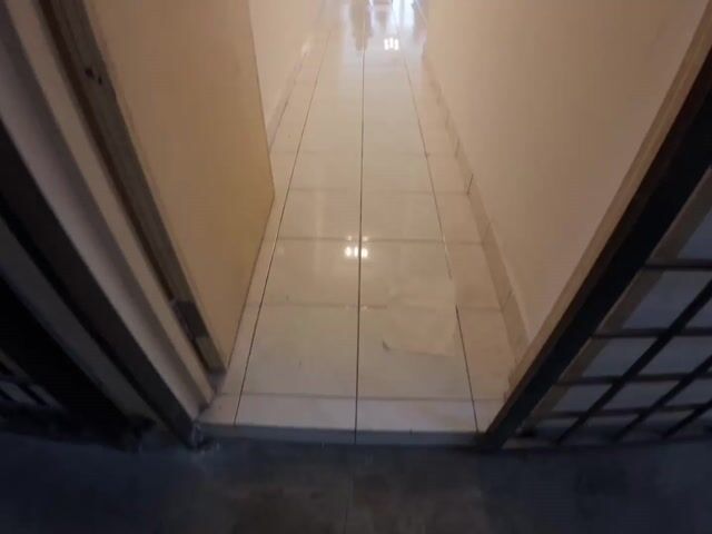 Video Image 1