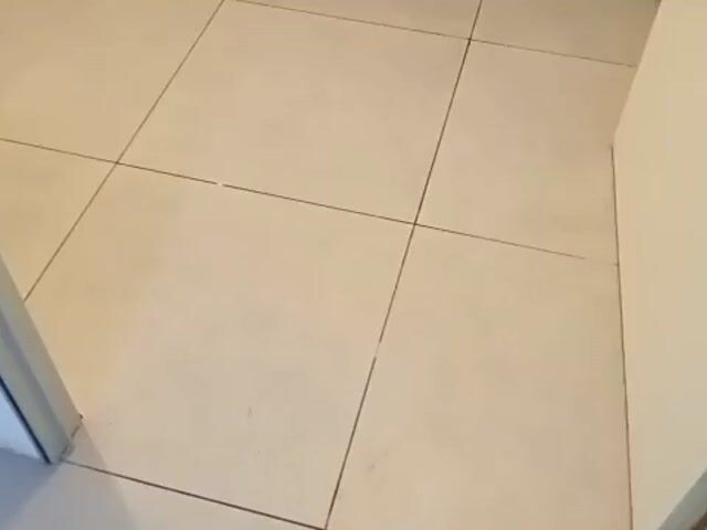 Video Image 1