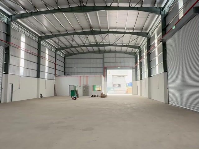 Video Image 1