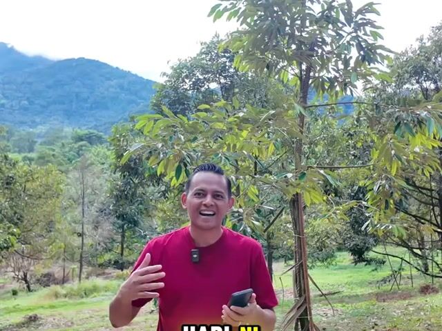Video Image 1