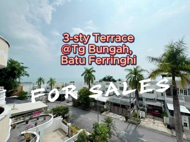 Video Image 1