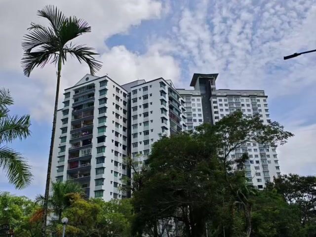 Video Image 1