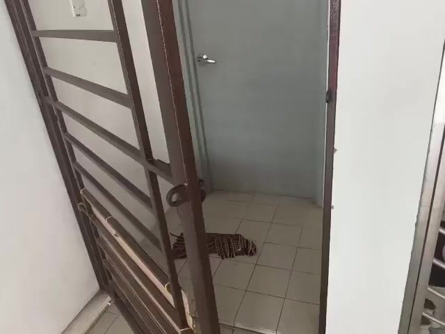 Video Image 1