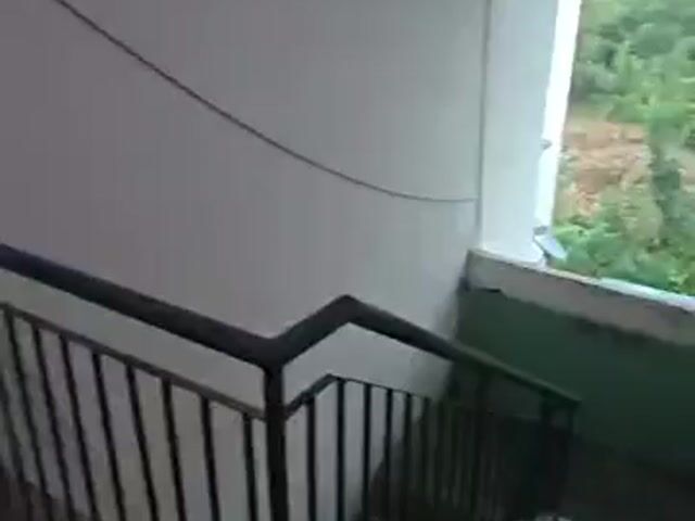 Video Image 1