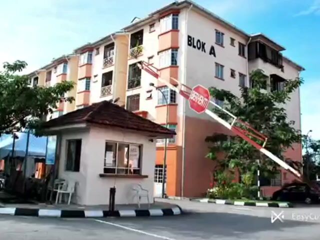 Video Image 1