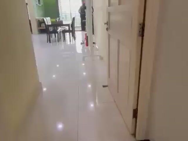 Video Image 1
