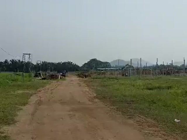 Video Image 1