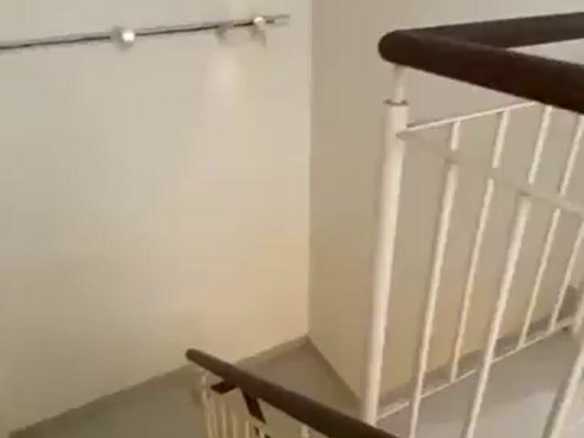 Video Image 1