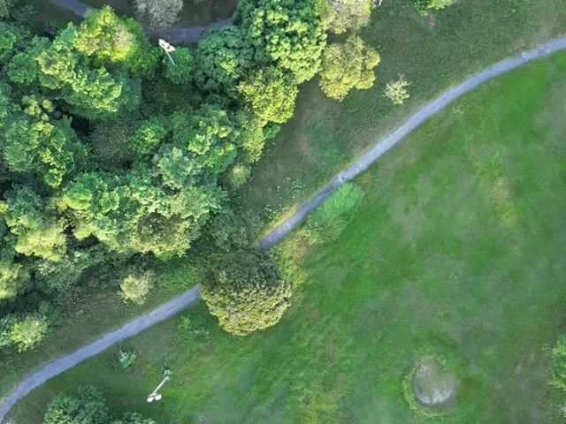 Video Image 1