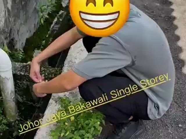 Video Image 1