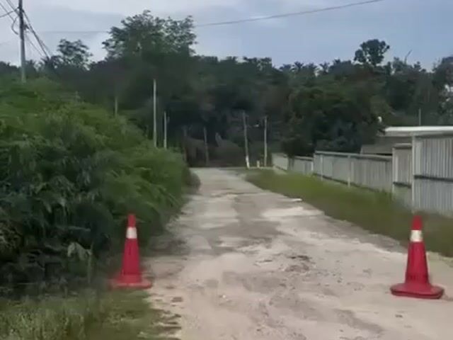 Video Image 1