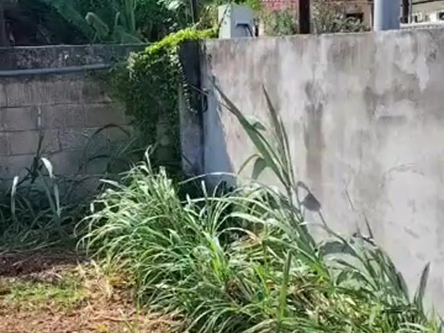 Video Image 1