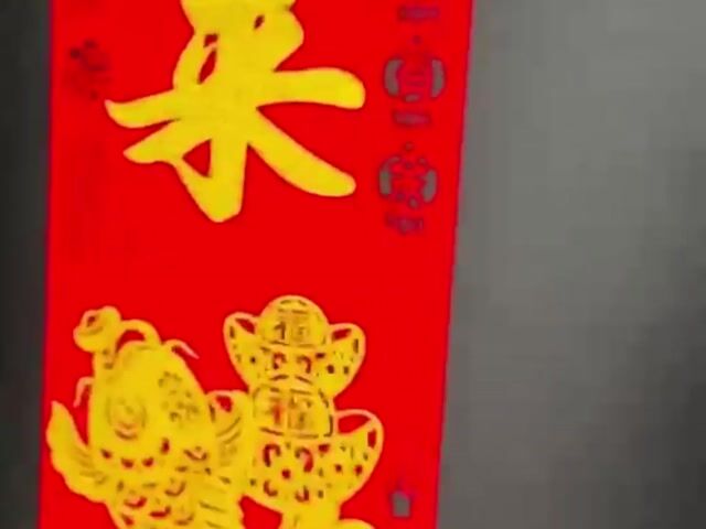 Video Image 1