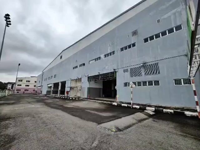 Video Image 1