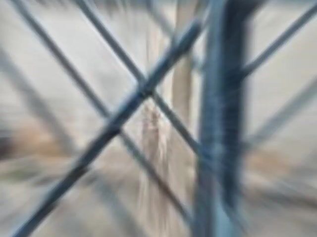 Video Image 1