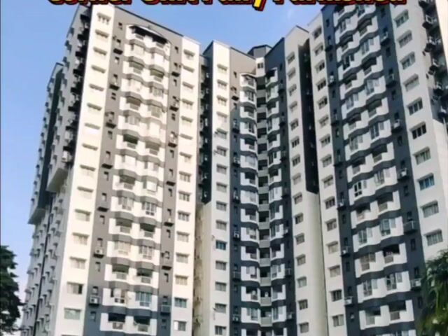 Video Image 1