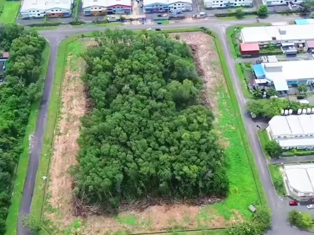 Video Image 1
