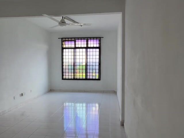 Video Image 1
