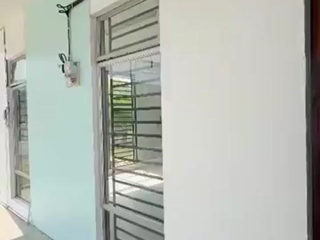 Video Image 1