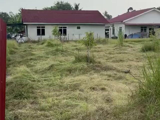 Video Image 1
