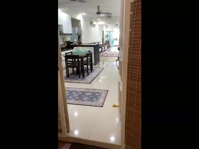 Video Image 1