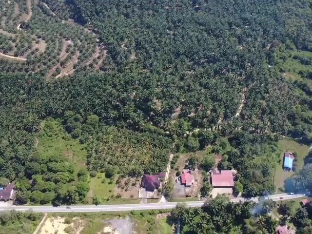 Video Image 1