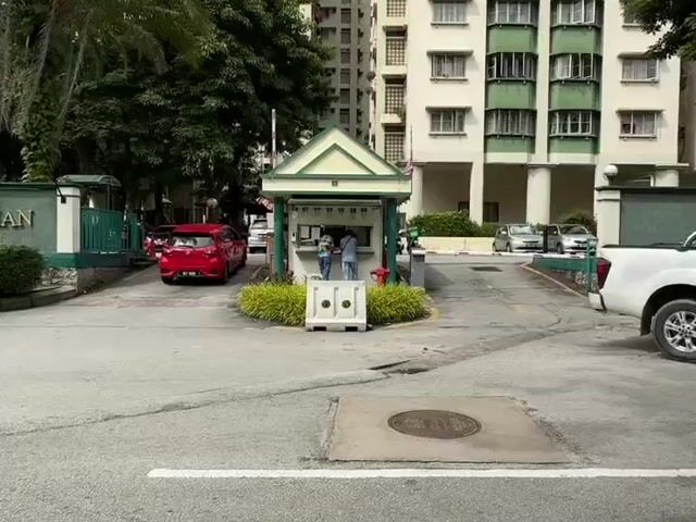 Video Image 1
