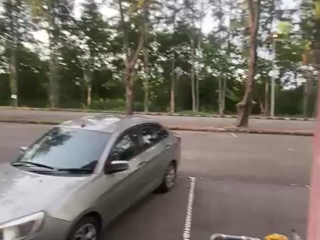 Video Image 1