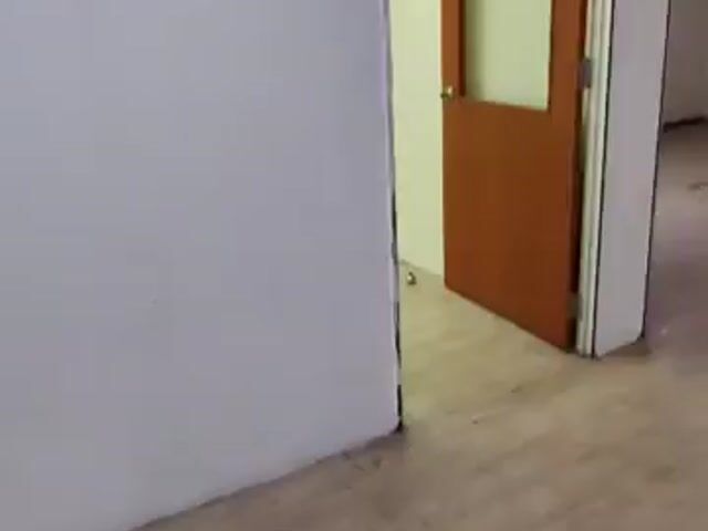 Video Image 1