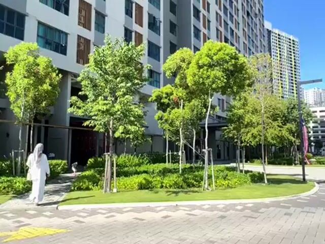 Video Image 1
