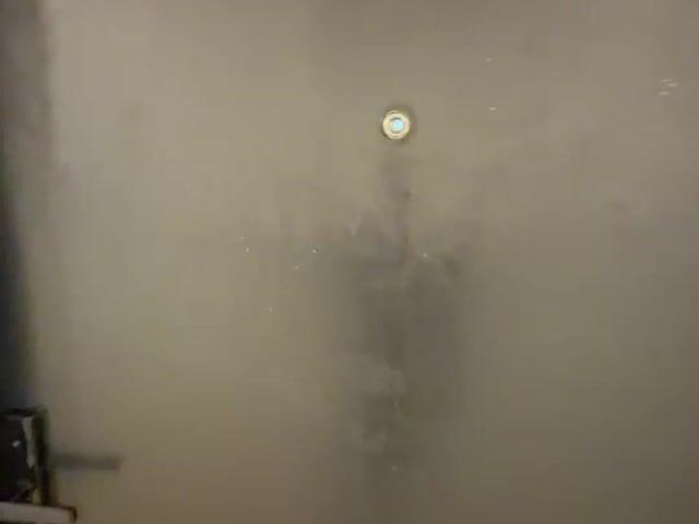 Video Image 1