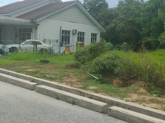 Video Image 1