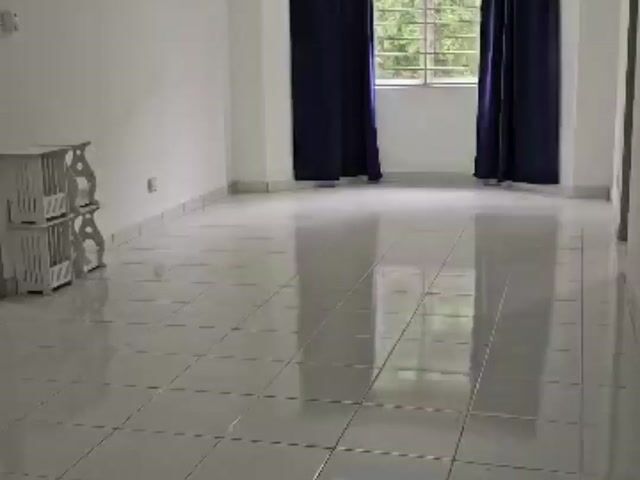 Video Image 1