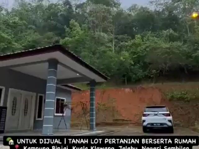 Video Image 1