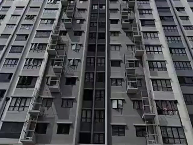 Video Image 1