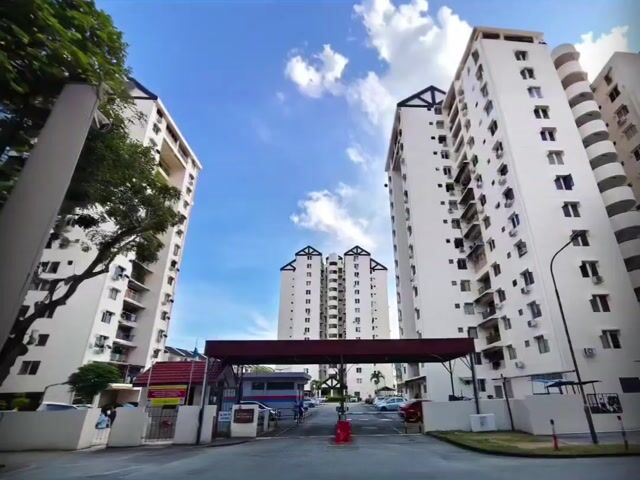 Video Image 1