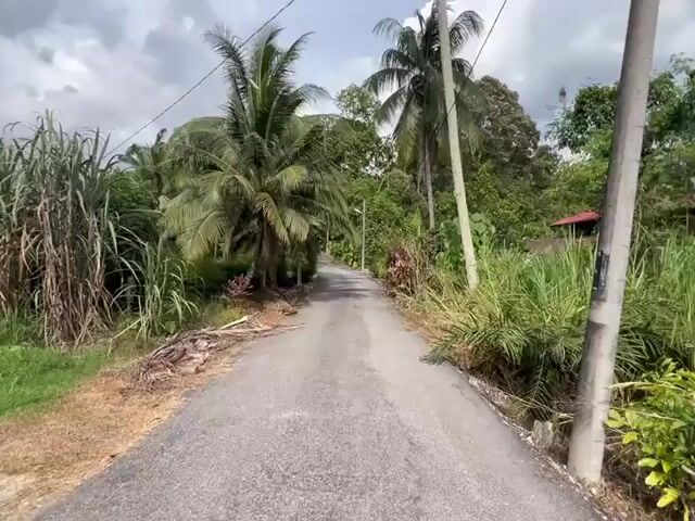 Video Image 1