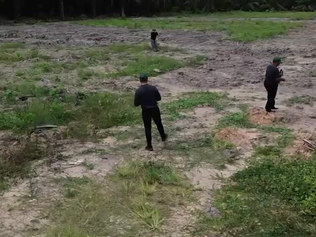 Video Image 1