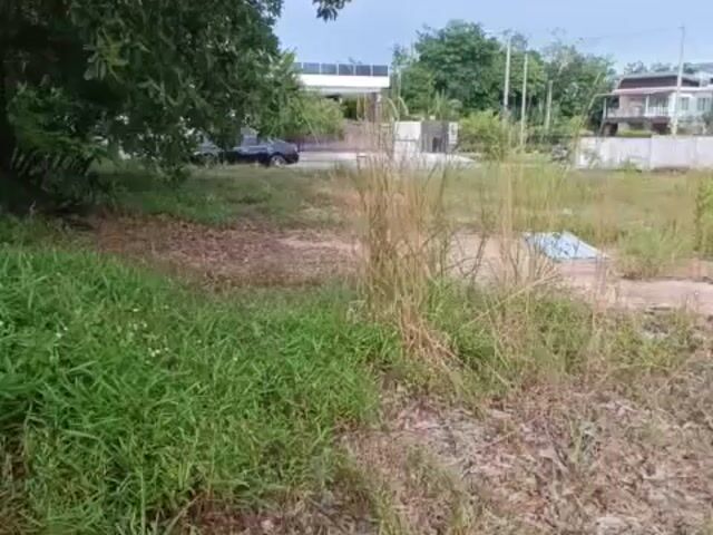 Video Image 1