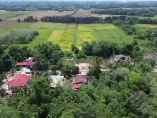 Video Image 1