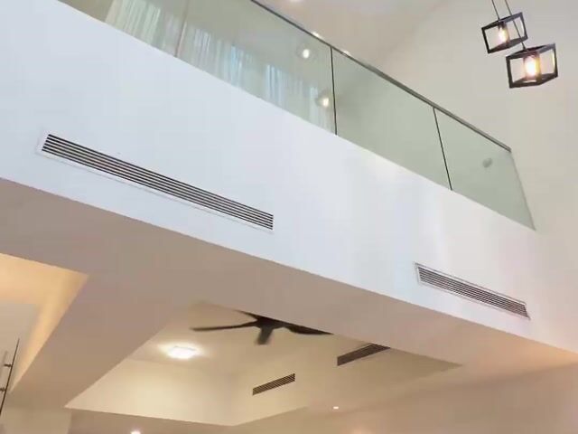 Video Image 1